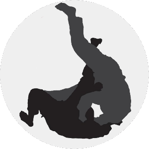 judo jmaa