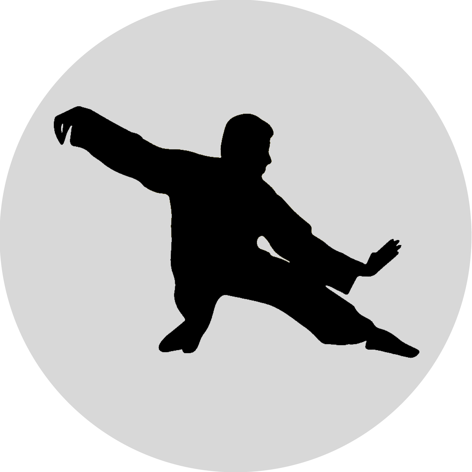 tai chi